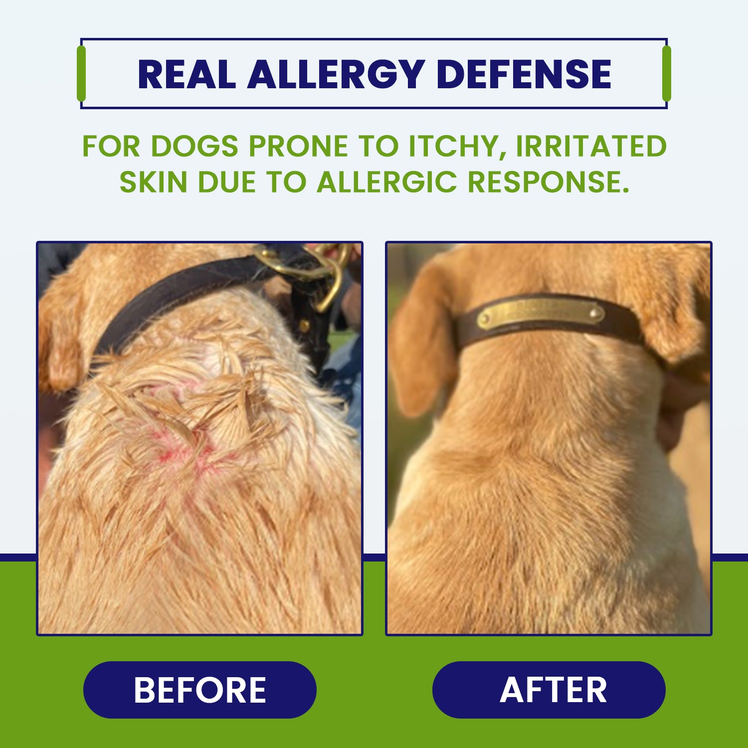 Allergy CZN™ with ImmunoRISE™ Seasonal Allergy Defense for Dogs