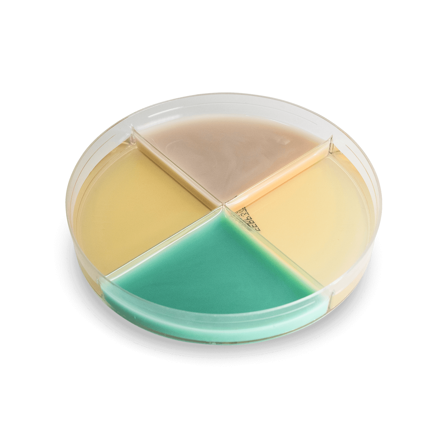 UTid+® In-Clinic Diagnostic System (4CT/PACK)